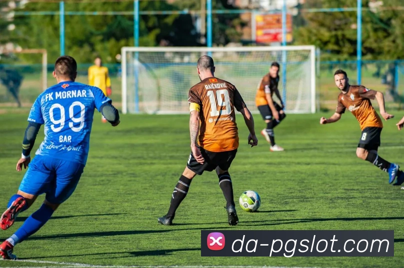 麻将胡了PG官网平台生态图